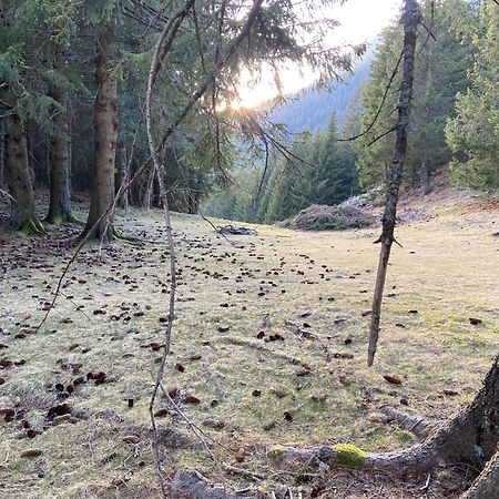 Do-Minus Boutique Home & Private Spa Ca Pedrot Mountain Cottage Monte Carasso Екстериор снимка
