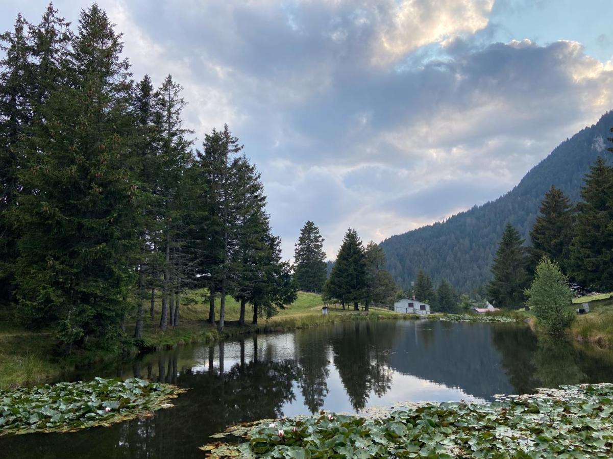 Do-Minus Boutique Home & Private Spa Ca Pedrot Mountain Cottage Monte Carasso Екстериор снимка