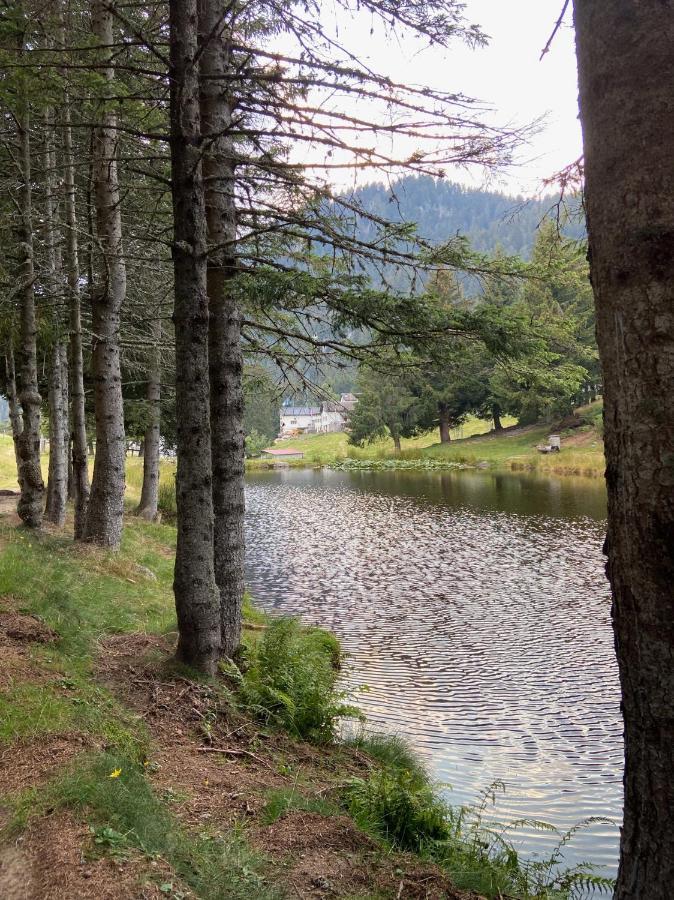 Do-Minus Boutique Home & Private Spa Ca Pedrot Mountain Cottage Monte Carasso Екстериор снимка